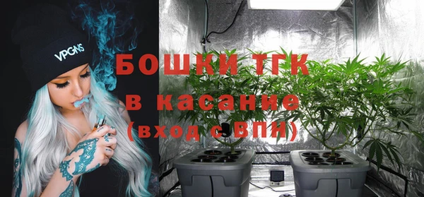 эйфоретик Липки