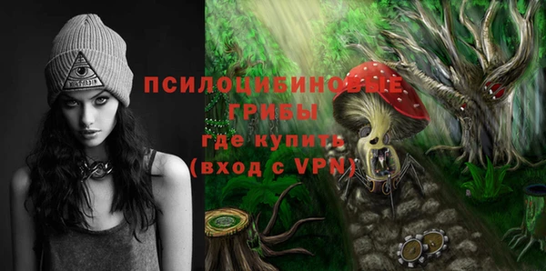 эйфоретик Липки