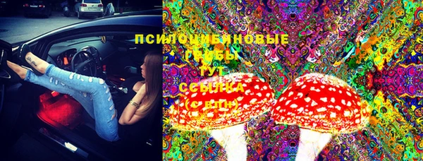 гидропоника Лиски