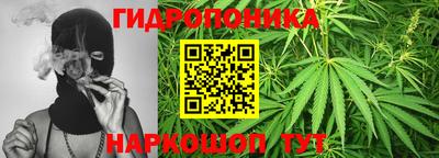 молекула духа Дубна