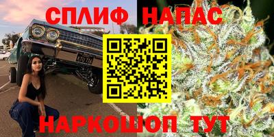 винт Донской
